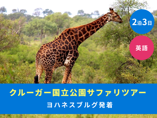【ヨハネスブルグ発着 2泊3日】クルーガー国立公園サファリ　ゲームドライブ3回＜混載／英語／市内or空港送迎＞