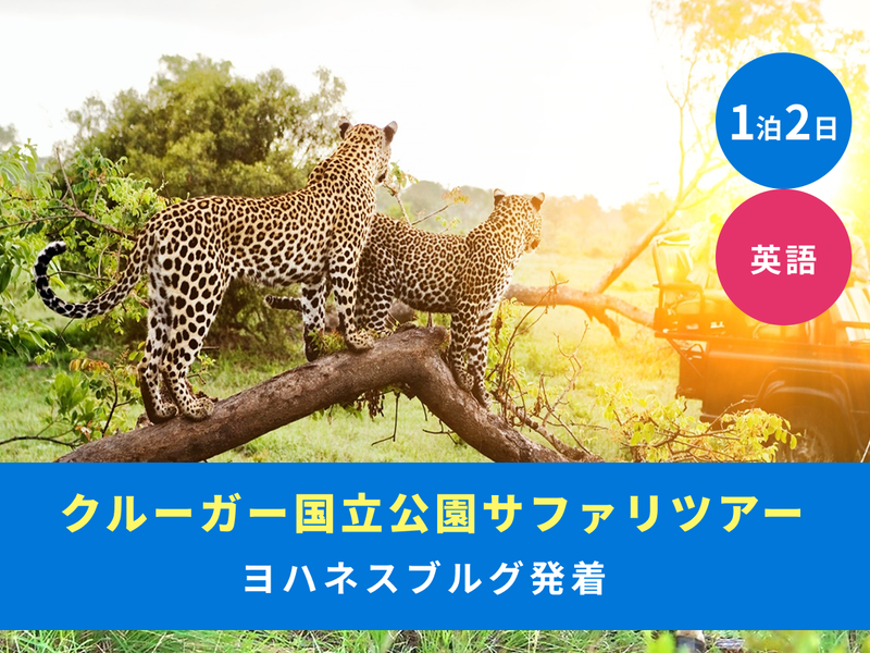 162568_ shutterstock