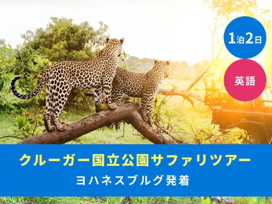 【ヨハネスブルグ発着 1泊2日】クルーガー国立公園サファリ　ゲームドライブ2回＜混載／英語／市内or空港送迎＞