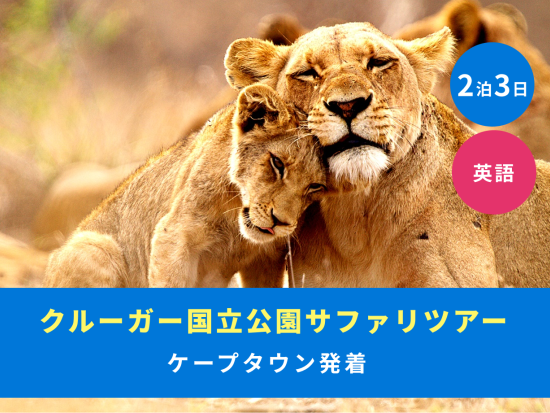 【ケープタウン発着 2泊3日】往復フライト付き クルーガー国立公園サファリ ゲームドライブ3回＜混載／英語／市内or空港送迎＞