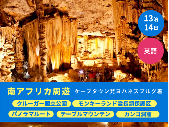 13泊14日 南アフリカ周遊ツアー クルーガーなど2つの国立公園観光＜ケープタウン発ヨハネスブルク着／英語＞
