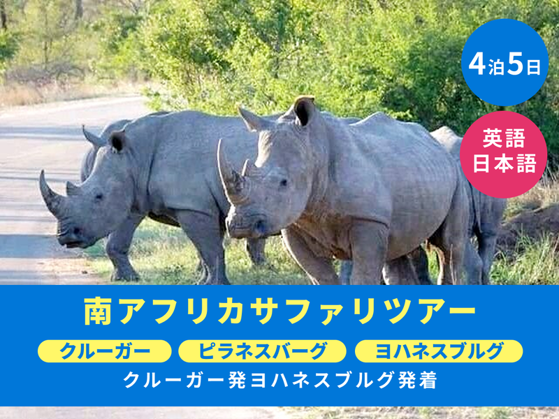 190736_Africa Moja Tours & Transfers