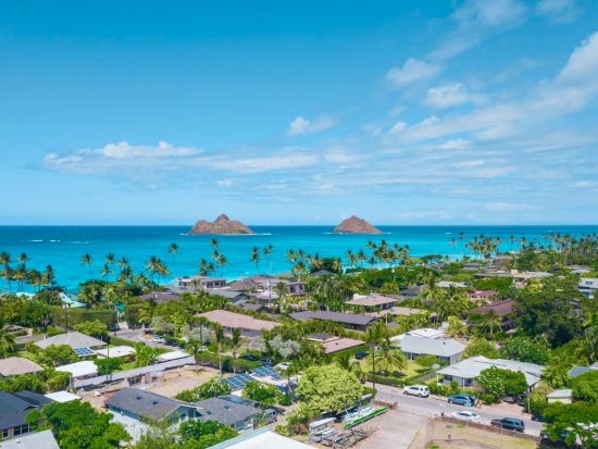 カイルア&ノースショア（ハレイワ）1日観光！この木なんの木＋ドール＋海亀ビーチ＋B級グルメ！ジョバンニのガーリックシュリンプやブーツ＆キモズのパンケーキ立ち寄り