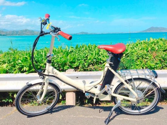 カイルア&ノースショア（ハレイワ）1日観光！この木なんの木＋ドール＋海亀ビーチ＋B級グルメ！ジョバンニのガーリックシュリンプやブーツ＆キモズのパンケーキ立ち寄り