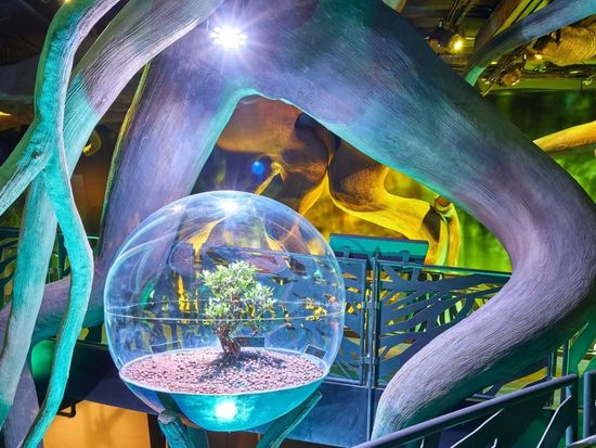 WhatsApp Image 2025-04-25 at 16.02.25