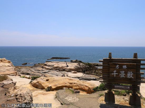 ⑭1131_千畳敷(公社)和歌山県観光連盟
