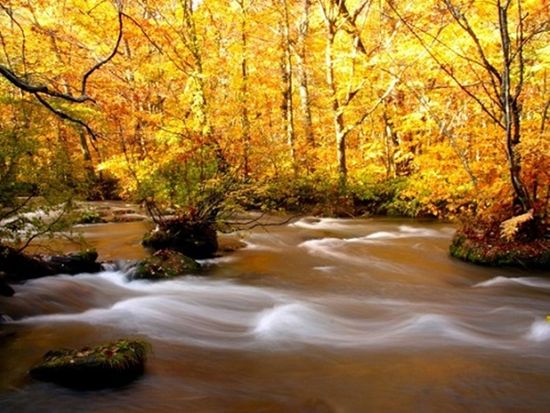 ダウンロード (4)