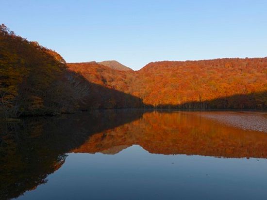 ダウンロード (2)