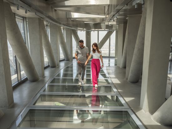 スカイ・ビューズ (Sky Views) 展望台入場チケット事前予約　＊即予約確定