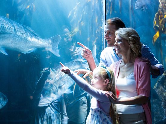 SheddAquarium_Go_CHI_allinc