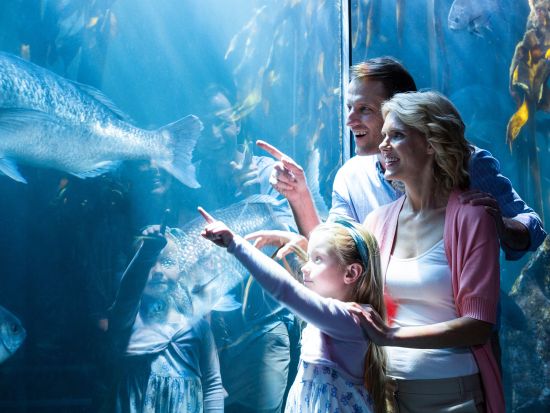 シカゴ　Go City オール・インクルーシブパス　好きなだけ、多くのアトラクションを満喫できる