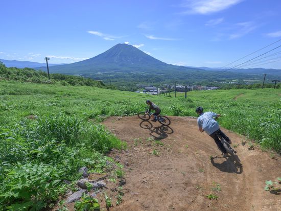 20240619_AJP__AZ95950