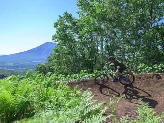 20240619_AJP__AZ95696