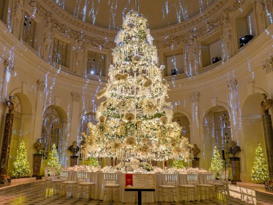 【クリスマス限定】ヴォー・ル・ヴィコント城　入場チケット事前予約＜水～日／英語オーディオガイド付き＞