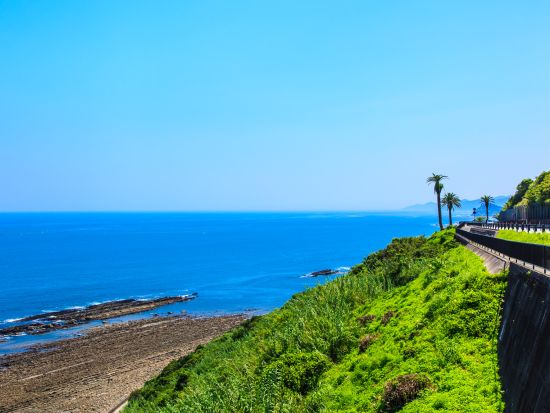 油津港発着 フリーチャータープラン 宮崎＆日南観光に便利！ベテランドライバーがご案内＜5～8時間／普通車・アルファード・ハイエース＞ by 三和交通