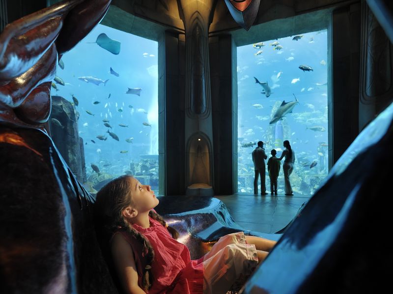 Lost Chambers_01 (1)