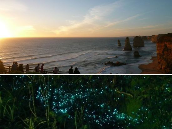 【4～9月限定】グレートオーシャンロード＆土ボタル鑑賞ツアー！12人の使徒での夕日鑑賞やコアラウォッチングも＜終日／混載or貸切／日本語ガイド／メルボルン発＞