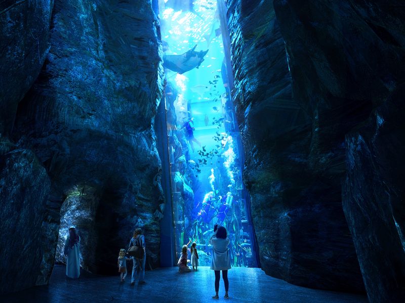 SeaWorld-Abu-Dhabi-Endless-Vista