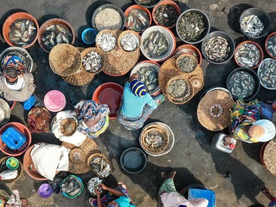 ガーナ・トーゴ・ベナン周遊ツアー　伝統儀式と世界遺産を訪ねる10日間＜英語ガイド／ガーナ・アクラ発 ＞