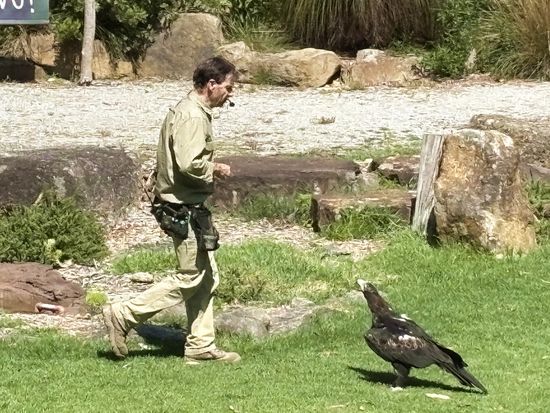 Healesville-SpiritOfSky