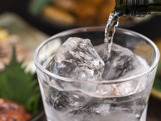 【鹿児島本港南埠頭発着】種子島フリープラン「種子島ゴルフリゾート」ご宿泊＆フェリー往復  幼児添い寝無料＜1泊2日／1～2名1室／朝食付＞byわかさ旅行センター