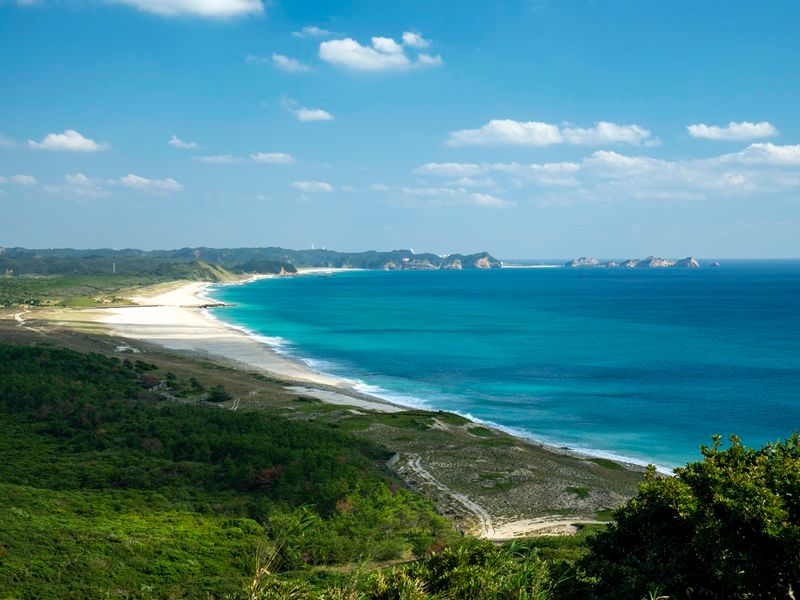 鹿児島本港南埠頭発着】種子島フリープラン「種子島ゴルフリゾート」ご