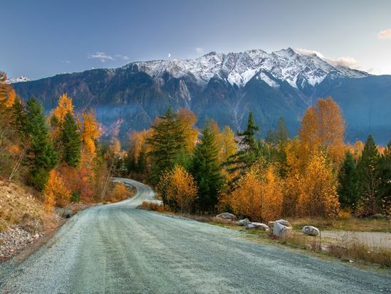 shutterstock_2392250337