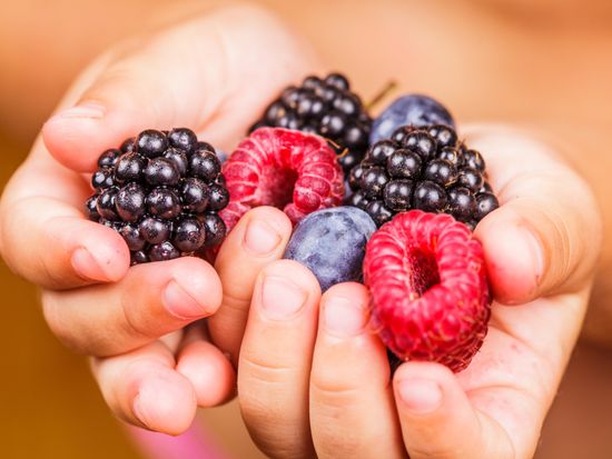 Generic_Berries_pixta_15996123_M
