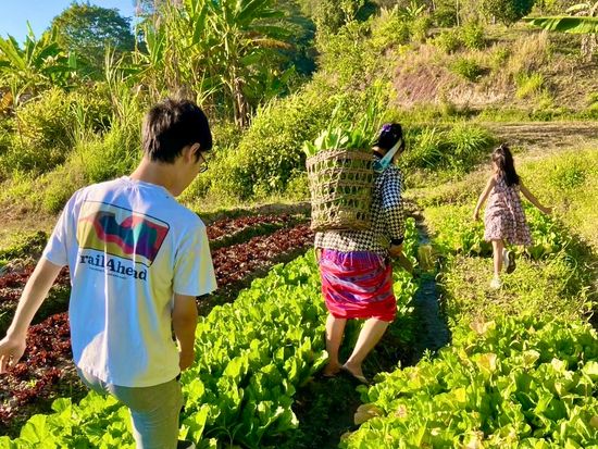 73D646E8-C038-4661-A7E2-BBED4B45CB2F