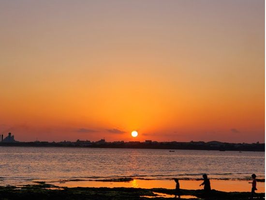 マングローブSUP 希少なマングローブの生態系をSUPで探検する少人数制ツアー 初心者歓迎★写真プレゼント付き＜10歳～参加OK／市街地送迎あり／石垣島＞