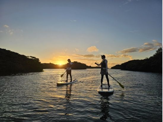 マングローブSUP 希少なマングローブの生態系をSUPで探検する少人数制ツアー 初心者歓迎★写真プレゼント付き＜10歳～参加OK／市街地送迎あり／石垣島＞