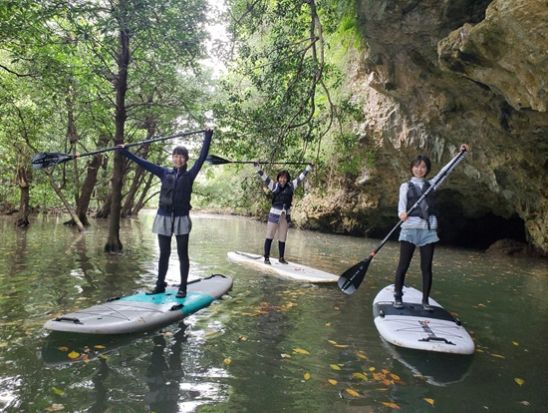 マングローブSUP 希少なマングローブの生態系をSUPで探検する少人数制ツアー 初心者歓迎★写真プレゼント付き＜10歳～参加OK／市街地送迎あり／石垣島＞