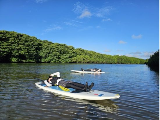 マングローブSUP 希少なマングローブの生態系をSUPで探検する少人数制ツアー 初心者歓迎★写真プレゼント付き＜10歳～参加OK／市街地送迎あり／石垣島＞
