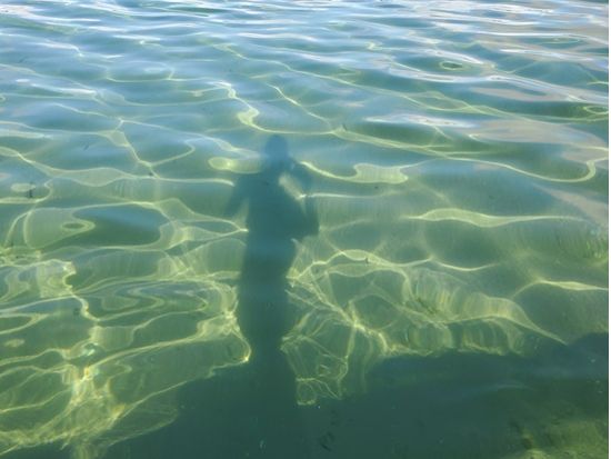 海SUP★エメラルドグリーンに囲まれた石垣島の美ら海を存分に満喫 写真プレゼント付き＜10歳～参加OK／市街地送迎あり／石垣島＞