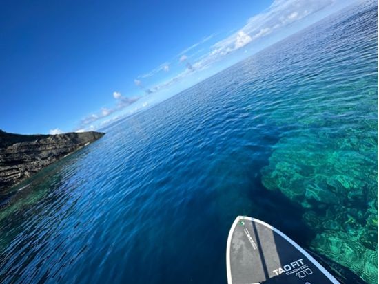 海SUP★エメラルドグリーンに囲まれた石垣島の美ら海を存分に満喫 写真プレゼント付き＜10歳～参加OK／市街地送迎あり／石垣島＞