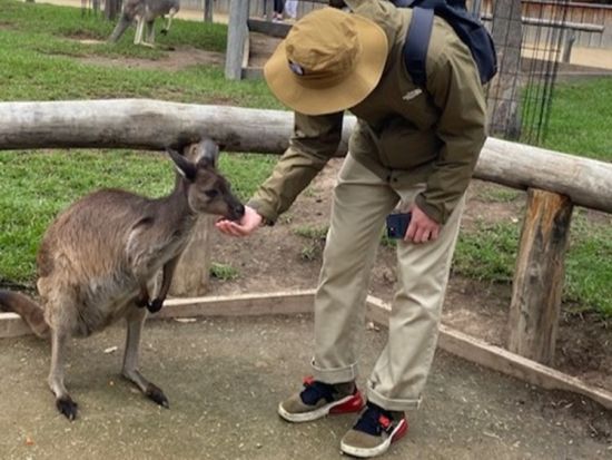 世界遺産ブルーマウンテンズ観光ツアー　キングステーブルランド＋ルーラ＋シドニー動物園などへご案内！by ジャックさんの楽しい日本語ツアー