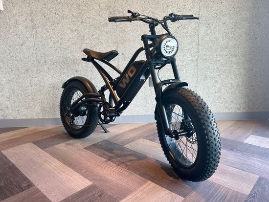 E-バイク (電動アシスト付き_WO)