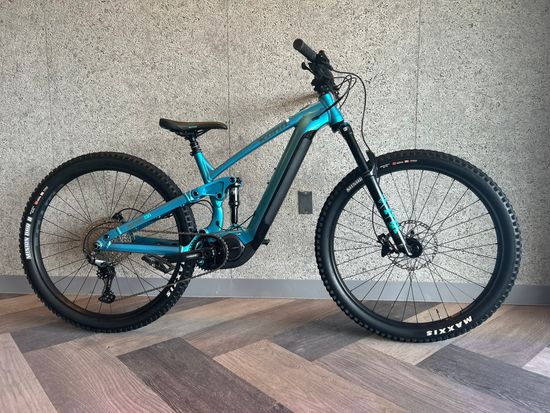 E-MTB (電動アシスト付きMTB)