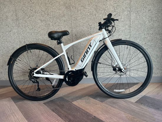 E-クロスバイク (電動アシスト付き_GIANT)