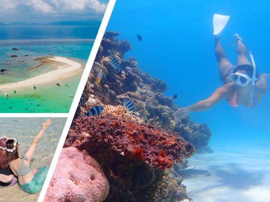 話題の“あの有名人”も上陸。「幻の島」上陸＆シュノーケリング！ウミガメ・サンゴを探索しよう！＜半日／送迎無料／初心者歓迎＞＜泳ぐ人も泳がない人も＞