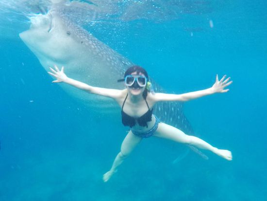 ジンベイザメ3