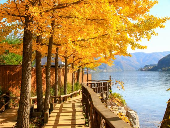 Korea_Nami Island_shutterstock_1047973651