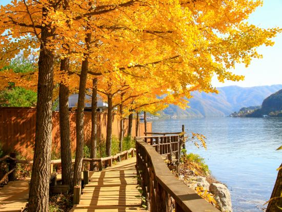 【韓流ドラマロケ地ツアー】「冬のソナタ」☆ソウルから日帰りで春川へ！不朽の名シーンが蘇ります＜貸切／終日／ホテル送迎付／日本語ガイド／昼食付＞