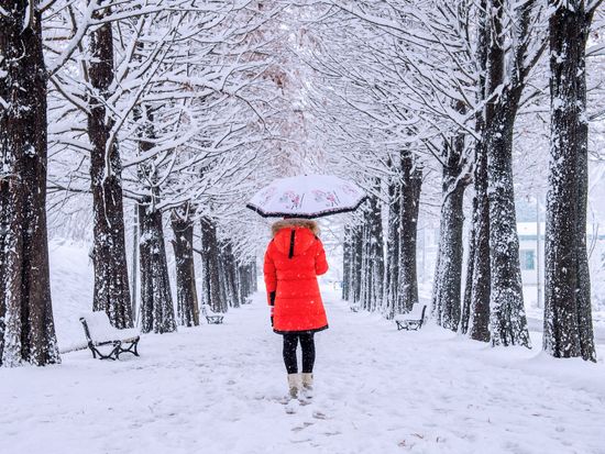 Korea_Nami Island_Winter trees_Girl_Shutterstock_345715748