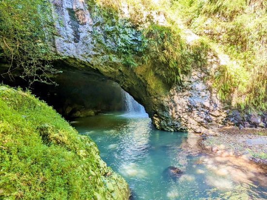 世界遺産スプリングブルック国立公園＆ナチュラルブリッジ半日ツアー　展望台からの絶景やトレッキングなどを満喫！＜日本語ドライバーガイド／ゴールドコースト発＞