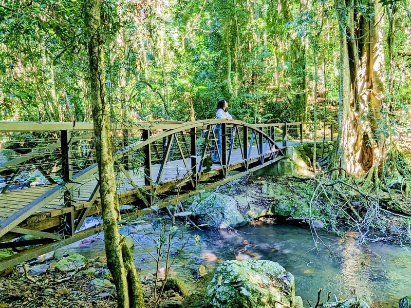 ナチュラルブリッジの川に架かる橋