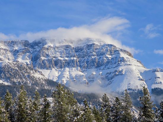 Icefield Parkway Castle Mountain Winter 01