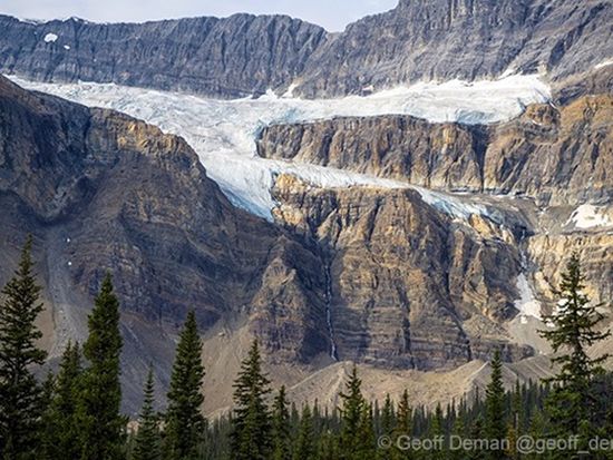 Crowfoot-Glacier-01-600