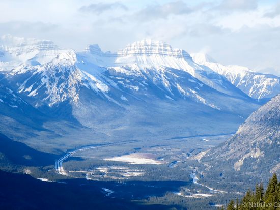 Banff Gondola Sulphur Mountain 05