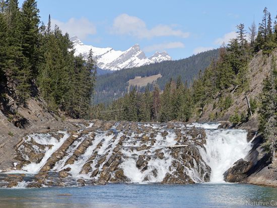 Bow Falls 01